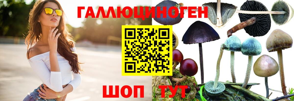 Галлюциногенные грибы прущие грибы  Псилоцибиновые грибы мухоморы  Усолье-Сибирское  Вход с VPN 